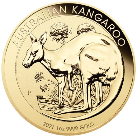 Gold Kanguro